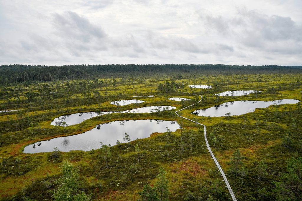 Kakerdaja raba laudtee veesilmade vahel