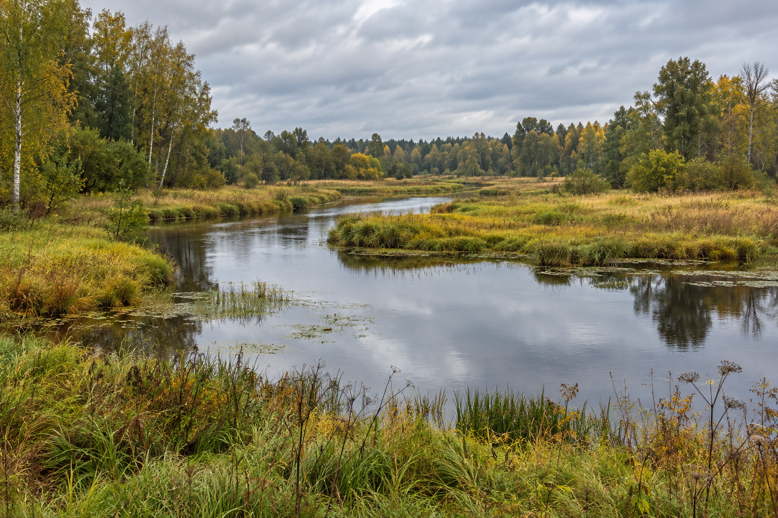 Kirna matkarada: 6,8 km rada, rippsild ja kõrgvee hoiatus