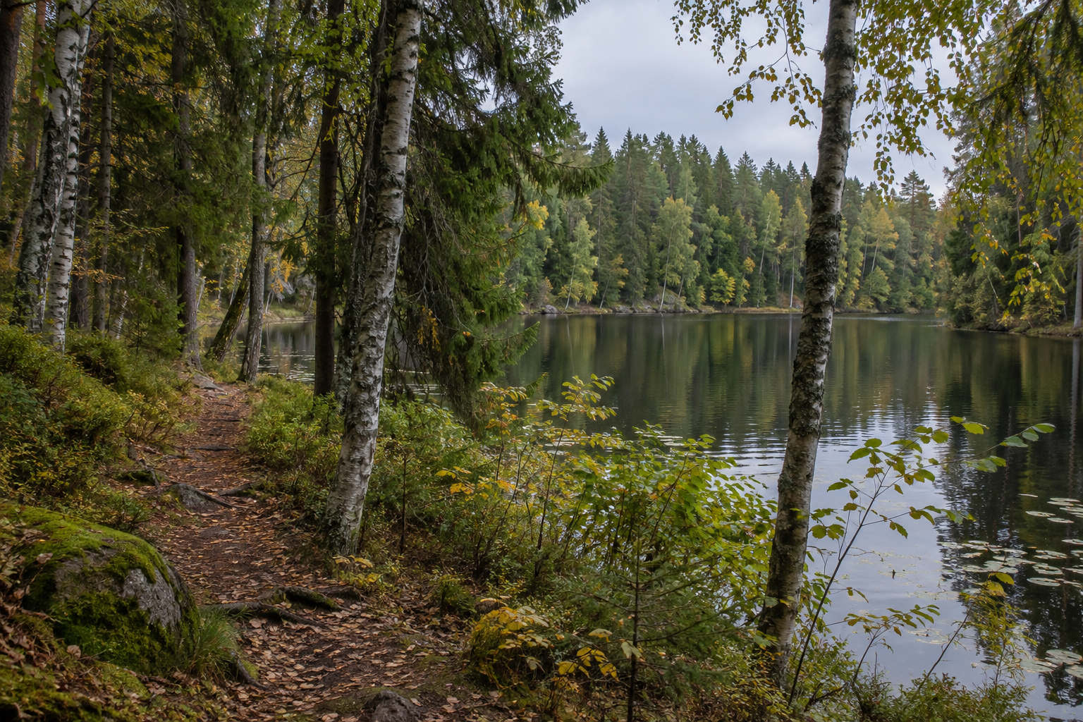 Männikjärve matkarada: 2,2 km järveäärne metsarada Toomal